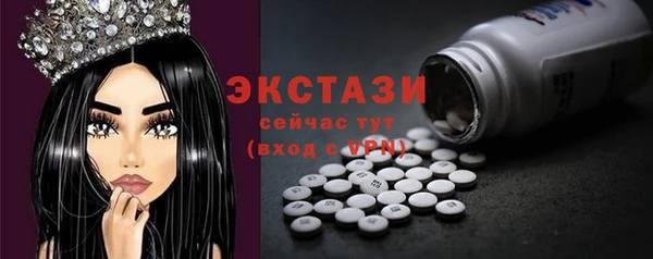 индика Дедовск