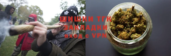 молекула духа Козловка