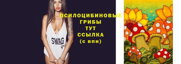молекула духа Козловка