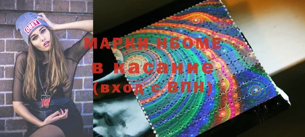 молекула духа Козловка