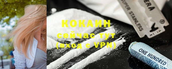 молекула духа Козловка