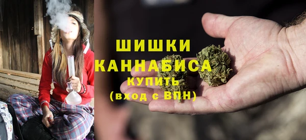 молекула духа Козловка