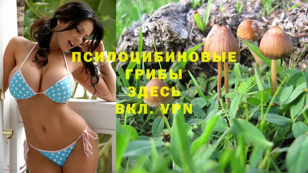 молекула духа Козловка