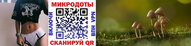 Галлюциногенные грибы GOLDEN TEACHER  цены наркотик  Комсомольск 